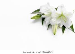 Sheremy Dillard, Death, Obituary North Carolina: Beloved Resident Has Passed Away